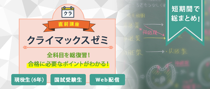 クライマックスゼミ