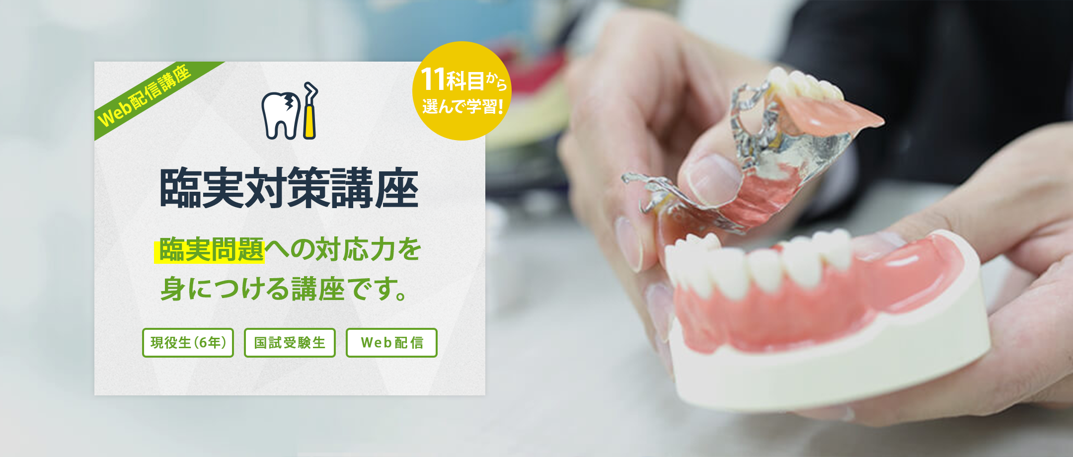 麻布デンタルアカデミー 歯科医師国家試験 ベーシック講座 ベーシック講座 | 麻布デンタルアカデミー