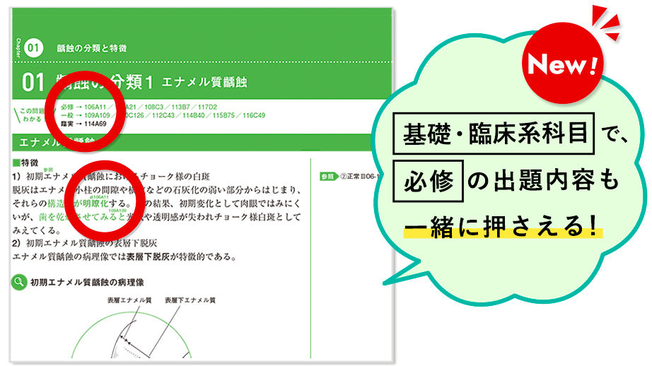 基礎・臨床系科目で、必修の出題内容も一緒に押さえる!