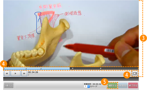 動画再生画面 